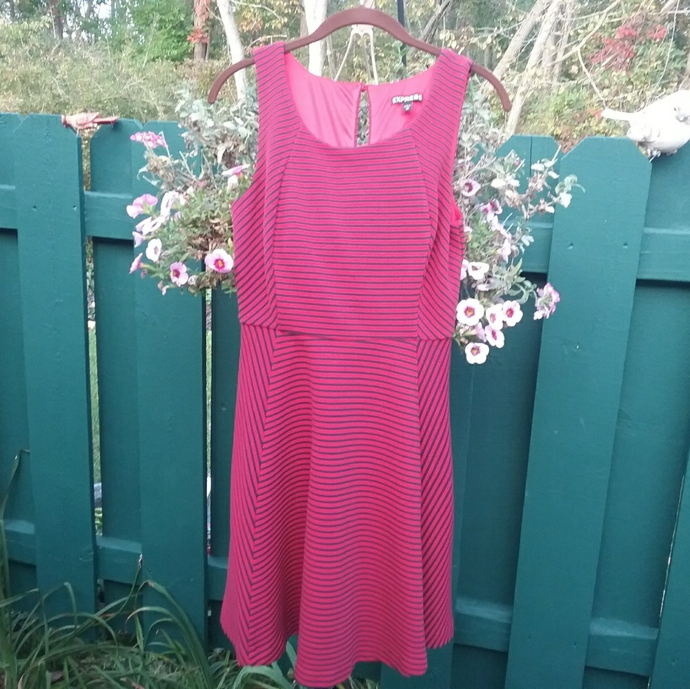 Express Striped Sleeveless Skater Dress - Picture 1 of 8